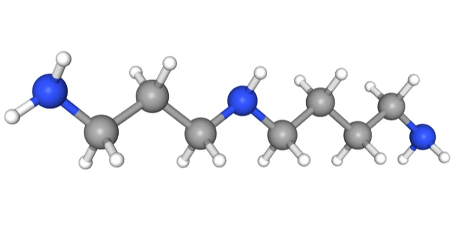 Spermidine  e