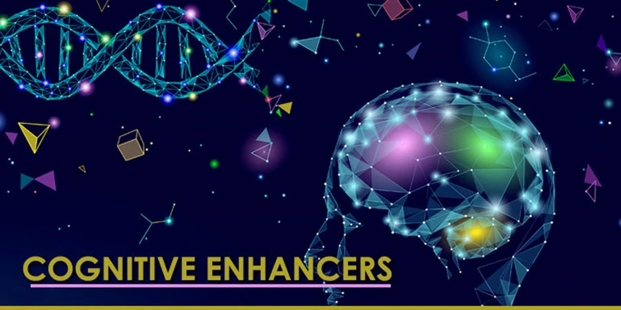 spermidine cognitive_enhancers