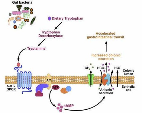 info-470-375 info-470-375