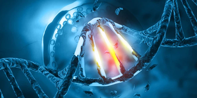DNA damage DNA damage