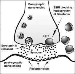 Serotonin Reuptake Inhibition SRI