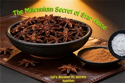 Star Anise'nin Bin Yıllık Yolculuğu ve Modern Misyonu