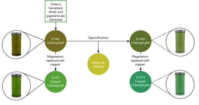 21Sodium Copper Chlorophyllin B 21Sodium Copper Chlorophyllin B